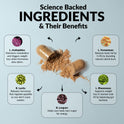 'Science Backed Ingredients & Their Benefits' infographic on light blue with an open capsule spilling powder. Five probiotic strains: L. Acidophilus (kickstarts metabolism), B. Lactis (regulates appetite to stop sweet cravings), B. Longum (helps body burn sugar for energy), L. Fermentum (reduces body fat 3-4%), and L. Rhamnosus (supports weight loss in women over 40).
