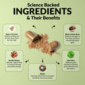 'Science Backed Ingredients & Their Benefits' infographic on green with an open capsule spilling powder. Five ingredients: Slippery Elm Bark (soothes swelling and dryness), Sea Buckthorn (rebuilds vaginal lining), Niacin (improves blood flow for sensitivity and desire), Black Cohosh Root (balances estrogen for natural lubrication), and Aloe Vera (balances good bacteria to prevent yeast infections).