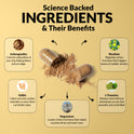 'Science Backed Ingredients & Their Benefits' infographic on yellow with an open capsule spilling powder. Five ingredients: Ashwagandha (controls adrenaline so you stop feeling jittery), GABA (calms nervous system so mind can relax), Magnesium (lowers stress hormone that tenses muscles and races heart), Rhodiola (regulates stress hormone that triggers anxiety waves), and L-Theanine (relaxes mind without drowsiness).