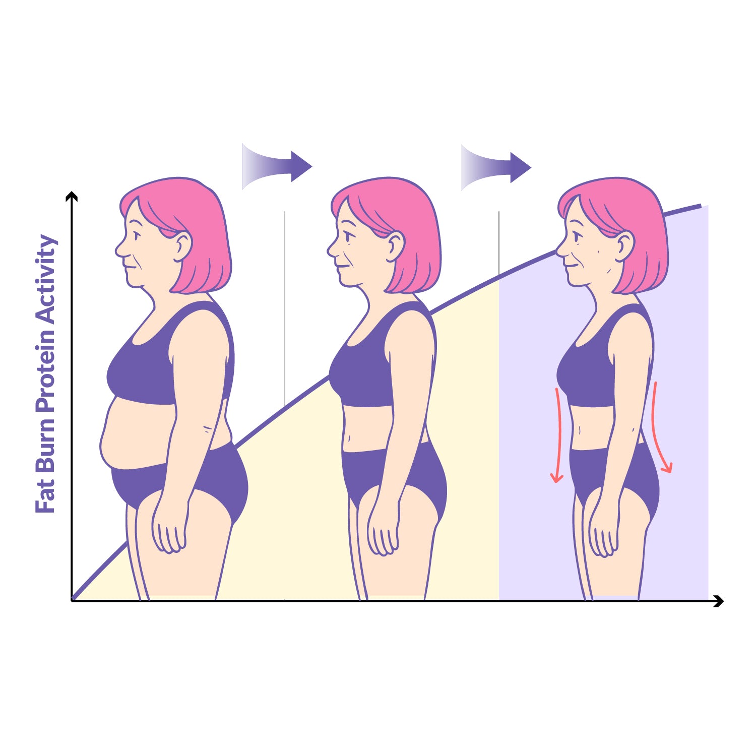 Meno Shred Fat Burner