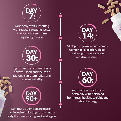 Results timeline on burgundy. Day 7: body starts resetting with reduced bloating and better energy. Day 14: multiple improvements across hormones, digestion, sleep and weight. Day 30: significant transformation with fat loss and renewed vitality. Day 60: body functioning optimally with balanced hormones and vibrant energy. Day 90+: complete body transformation with lasting results.