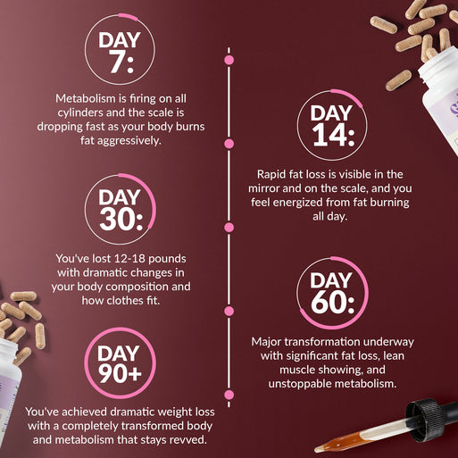Results timeline on burgundy. Day 7: metabolism firing on all cylinders, scale dropping fast as body burns fat aggressively. Day 14: rapid fat loss visible in mirror and on scale, feel energized from fat burning all day. Day 30: lost 12-18 pounds with dramatic body composition changes. Day 60: major transformation underway with significant fat loss and lean muscle showing. Day 90+: dramatic weight loss with a completely transformed body and metabolism that stays revved.