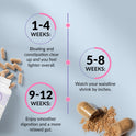 Results timeline infographic on a blue background with scattered capsules and herbal powder. Three milestone markers: 1-4 Weeks - bloating and constipation clear up and you feel lighter overall; 5-8 Weeks - watch your waistline shrink by inches; 9-12 Weeks - enjoy smoother digestion and a more relaxed gut.