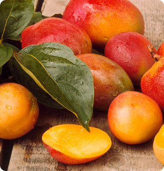 African Mango