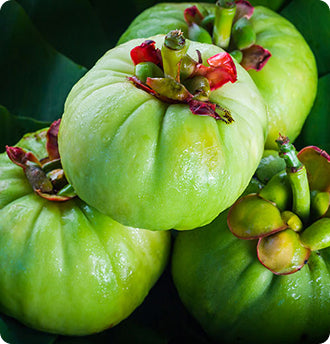 Garcinia Cambogia