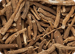 Ashwagandha Root